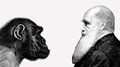 Darwin's theory of evolution