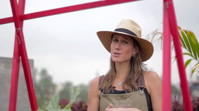 Comienza tu huerto urbano con esta sencilla guía