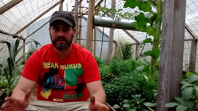 The best tips to make your garden a success