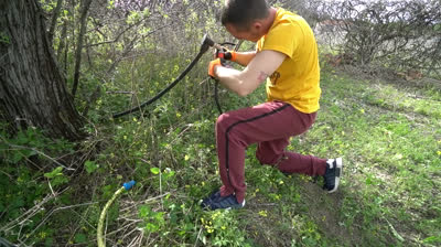 Take advantage of your garden and create an organic garden