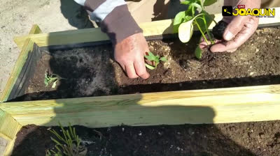 Create a tiered raised planter to set your own garden at home