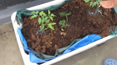 Huerto urbano en la terraza utilizando cajas recicladas