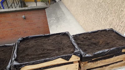 The easiest and cheapest way to create pots for your urban garden