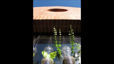 Huerto vertical escalable con materiales reciclados