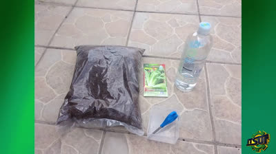 Build your own hydroponic gardening