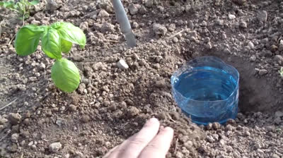 Riego por goteo solar con cero inversión