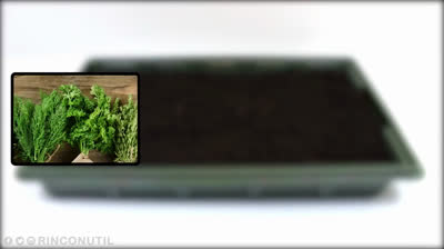 Build a mini greenhouse for your urban garden