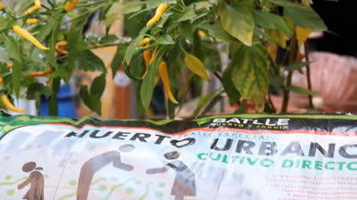 Different types of substrates for a urban garden