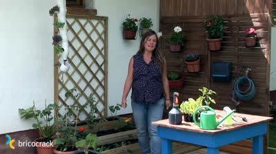 I want to make a urban garden, which design and substrate is better?