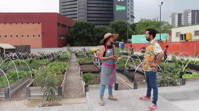 Great project of a urban garden in the center of a big city