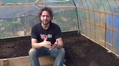 Why making our own seedbeds?