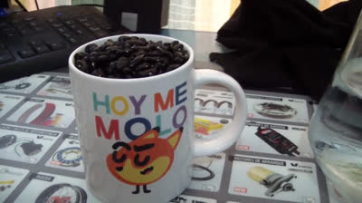 Descubre el mejor enraizante casero