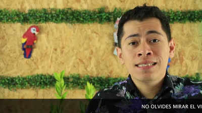 Descubre el enraizante más barato