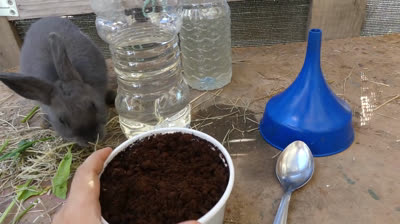 Homemade fertilizer for your garden