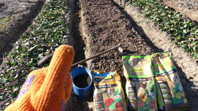 Aprende la importancia del abono para mejorar el suelo de tu huerto