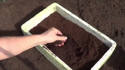 Benefits that coffee can bring to your garden