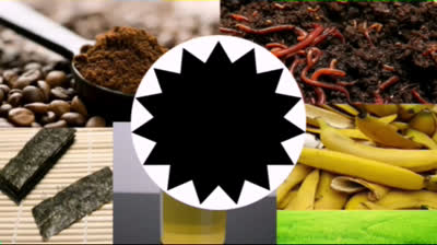 Top 10 fertilizantes naturales