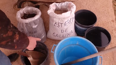 El mejor fertilizante orgánico líquido