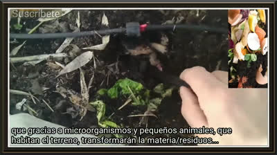 El compost casero ecológico que salvará tu huerto urbano