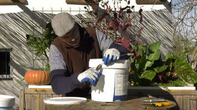 Create your own worm hummus