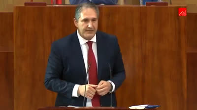José Cepeda: "Traer hoy al pleno la reprobación del delegado del Gobierno en Madrid me parece una astracanada"
