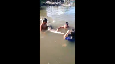 Children playing with a crocodile in an Indonesian river.