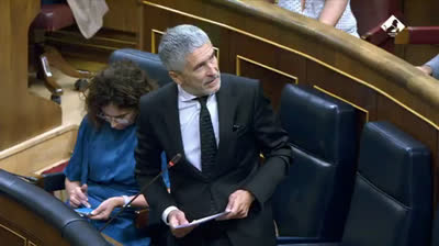 Marlaska responde a Rufián sobre si el Gobierno espía a cargos políticos