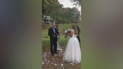 Videos of laughter (Fallen, failed, blows...)