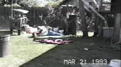 The funniest domestic fails