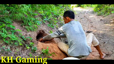 Coca Cola contro animali selvaggi 