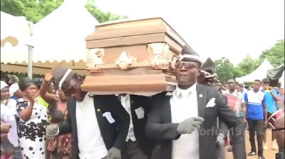 Attacchi di animali su persone (versione coffin dance meme della bara)