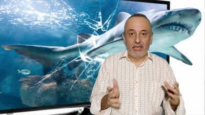 LA LUPA CADA VEZ MÁS GRANDE  E 12