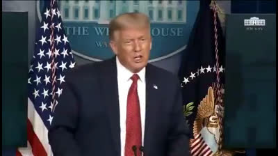 Donald Trump claims Spanish Flu in 1917 probably ended Second World War