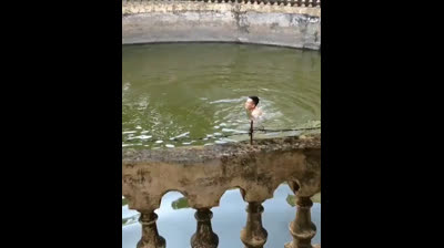 Man pretends he's drowning and calls his dog