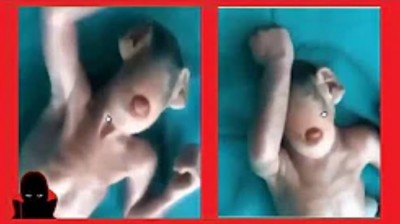 Híbrido entre humano y extraterrestre