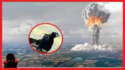 Casos Extraños Y Misteriosos Que No Tienen Explicación