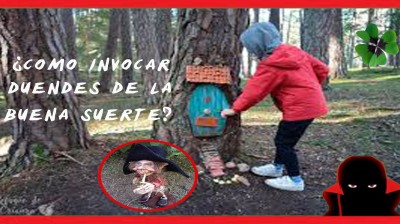 duendes captados en camara en el bosque｜Búsqueda de TikTok