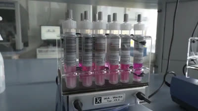 España tendrá 30 millones de dosis de la vacuna de Oxford