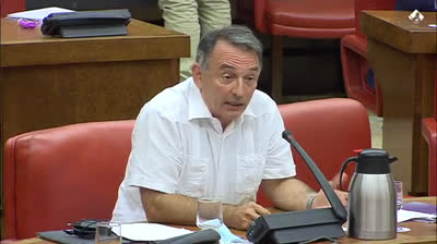 Enrique Santiago: "La inmigración irregular se ha reducido un 32%"