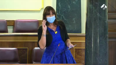 ¿Cuánto dinero público se destina a la estancia de Juan Carlos I en EAU? Pregunta Laura Borrás al Ministro de Interior