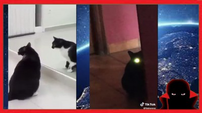 Videos que no tienen explicación