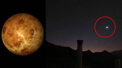 Descubren posible vida en el planeta Venus