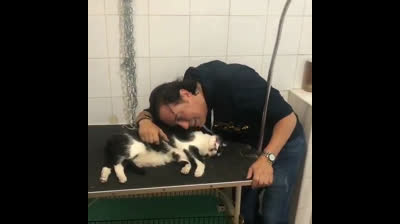 Pipi Estrada se despide de su gato, Trapito