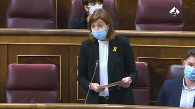 Carolina Telechea: "La democracia está en peligro por el auge de partidos como VOX"