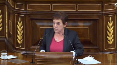 Metxe Aizpurua a VOX: "¿Pretenden autoilegalizarse?