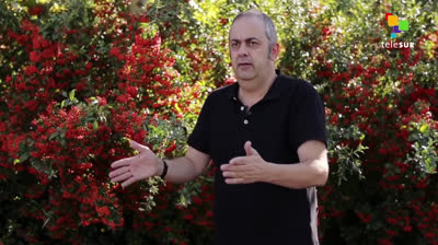 La desmemoria de España