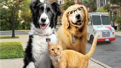 cats and dogs 123movies