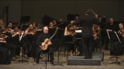 Pavel Steidl plays Mauro Giuliani   Guitar Concerto No 1 in A[1]