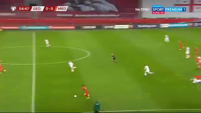 Goran Pandev Goal vs Goergia !