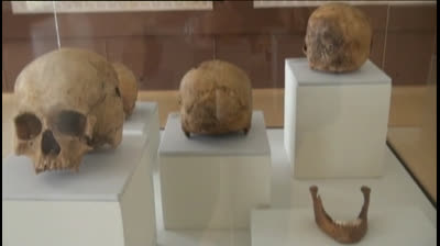 Los primeros incas muertos por arma de fuego